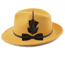 My Fedora