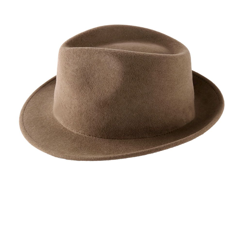 trilby hat image