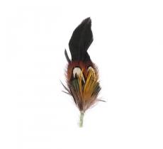 Hat Feather